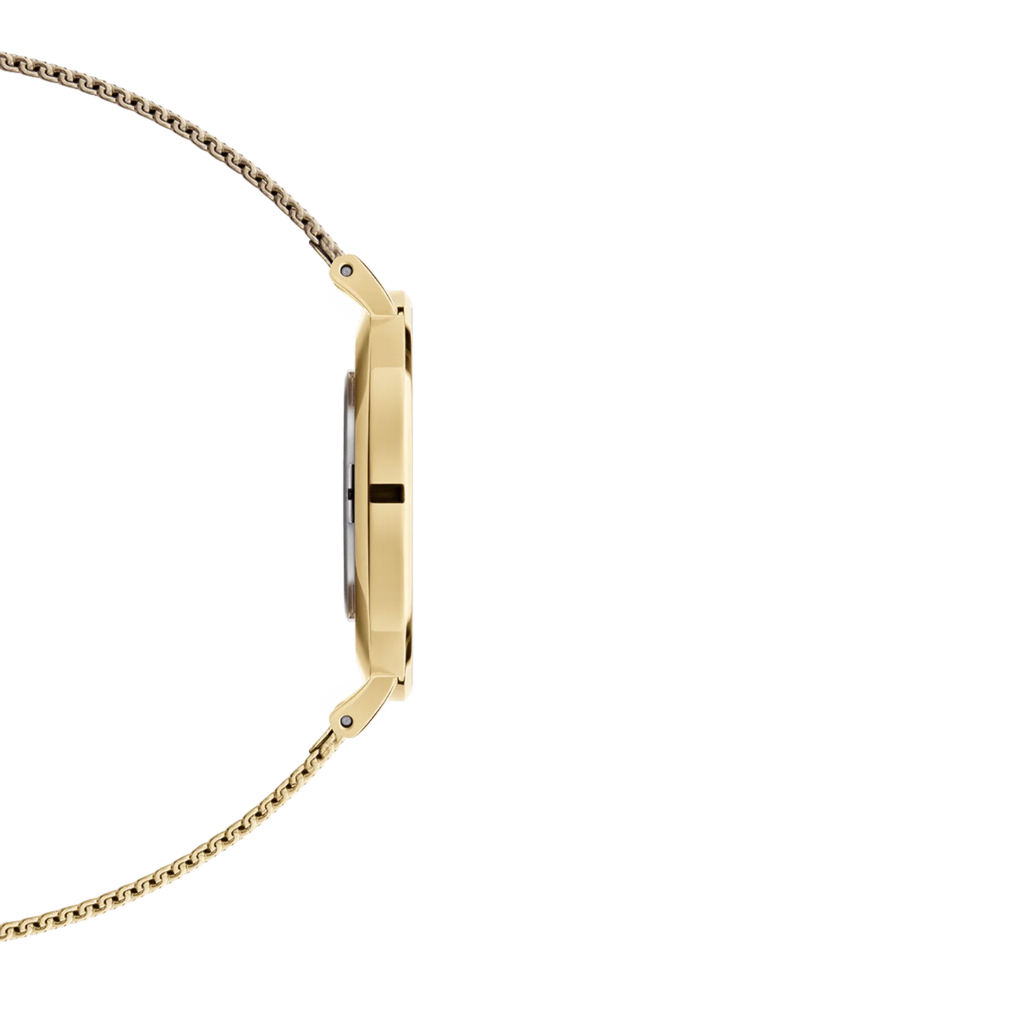 Petite Evergold 32mm Watch DW00100348