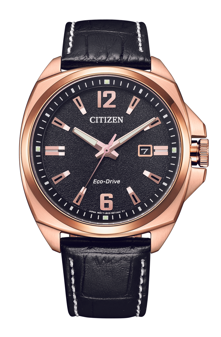 Eco-Drive Watch AW1723-02E