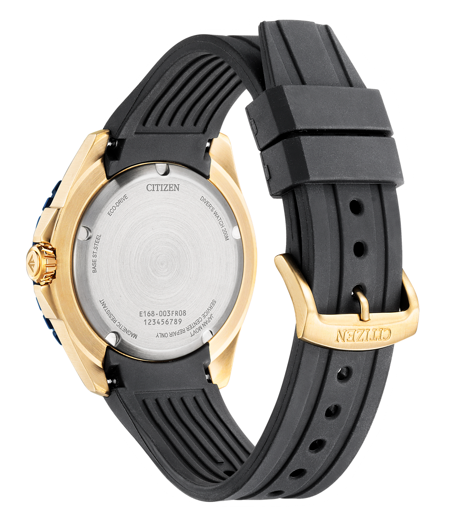 Promaster Dive Eco-Drive Watch BN0196-01L
