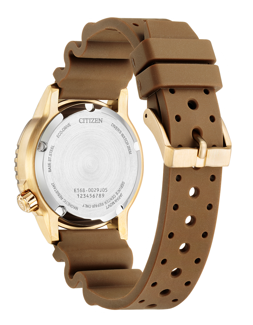 Promaster Marine Watch EO2022-02A