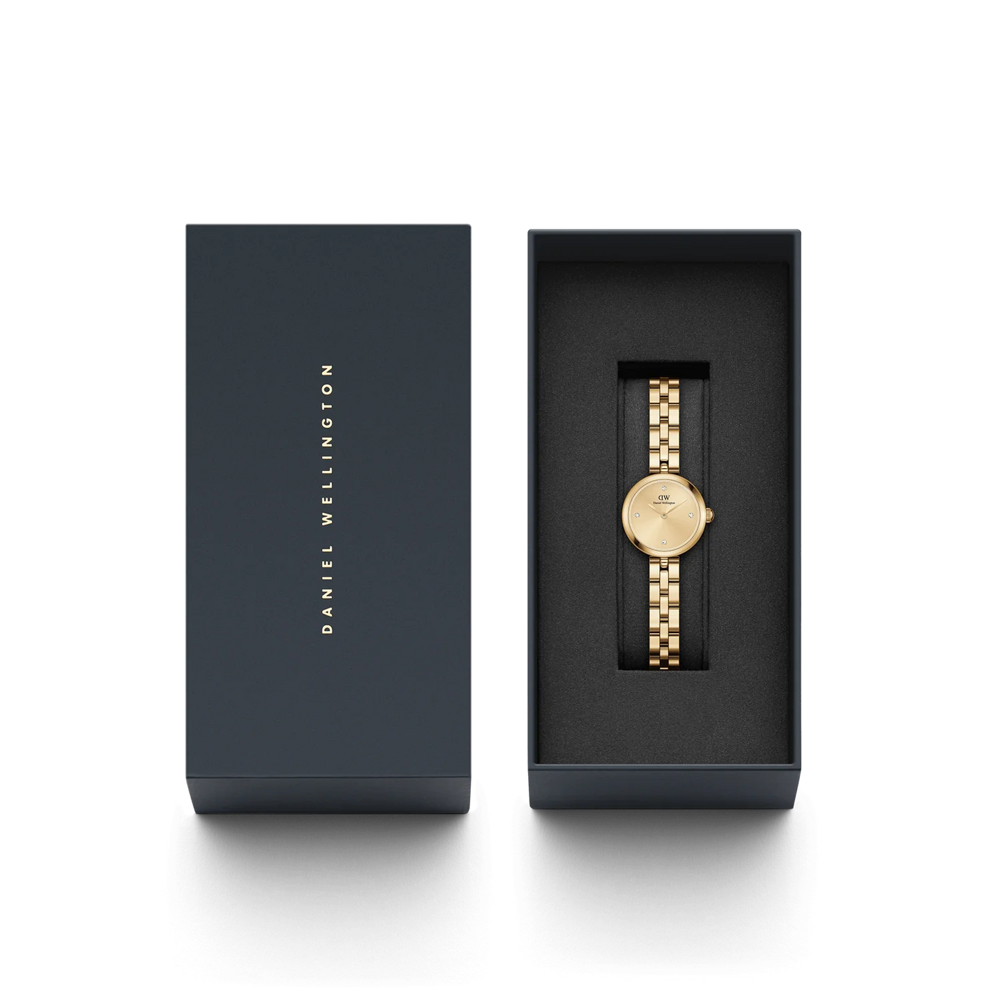 Elan Lumine Unitone Gold 22mm Watch DW00100718