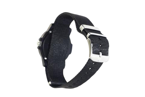 Leatherback Sea Turtle Giant 0337