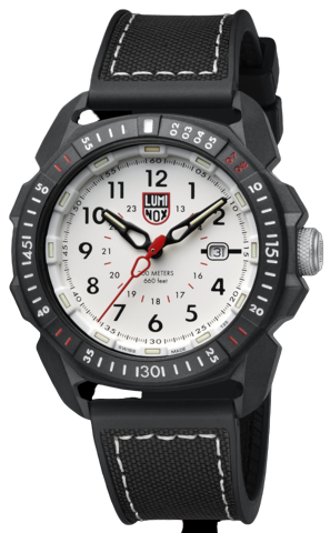 Ice Sar Arctic 1007