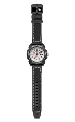 Ice Sar Arctic 1007