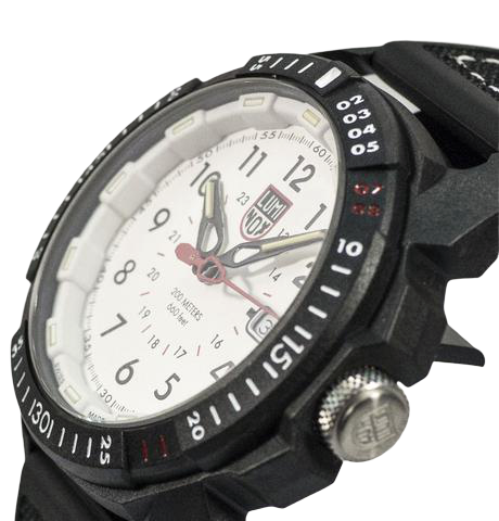 Ice Sar Arctic 1007