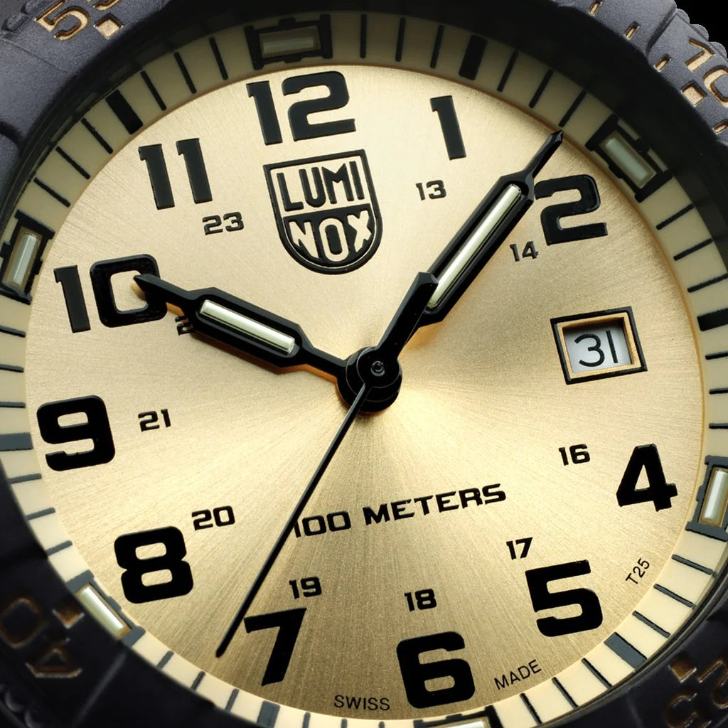 Leatherback Sea Turtle Giant 0325.GP