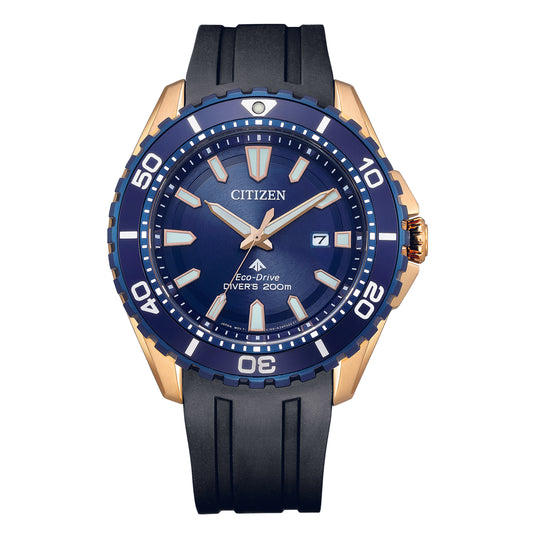 Promaster Dive Eco-Drive Watch BN0196-01L