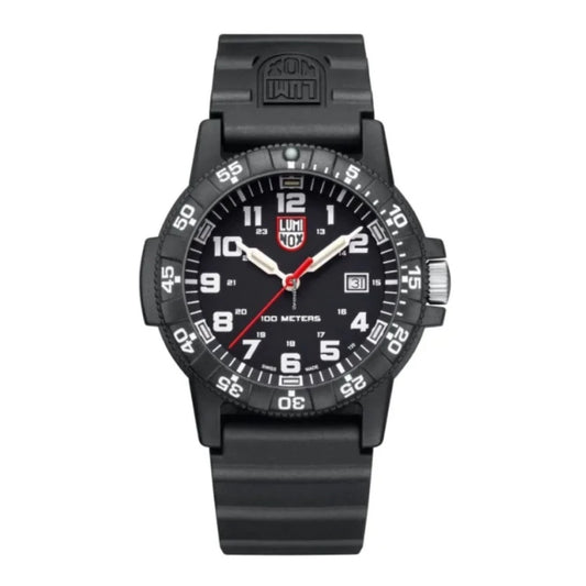 Leatherback Sea Turtle Giant 0321