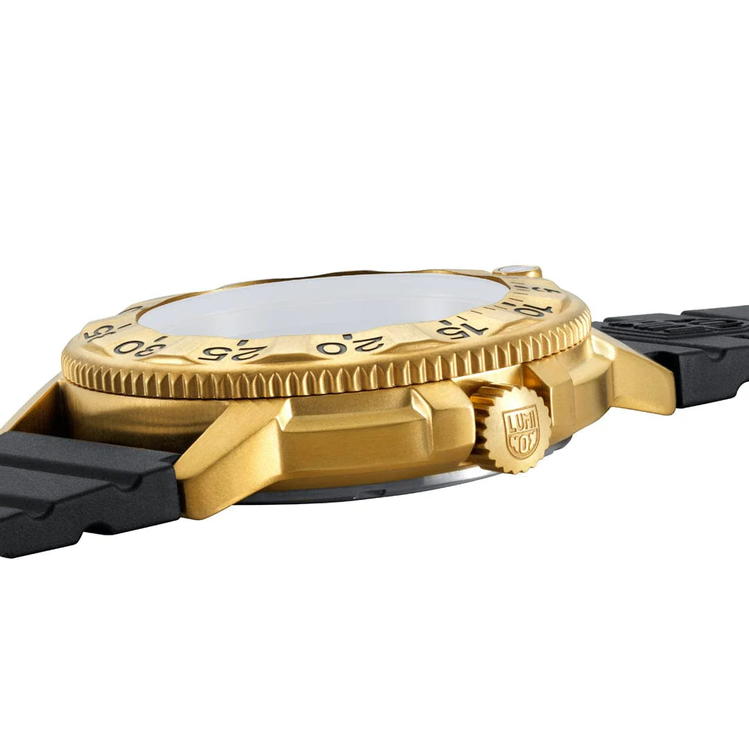 Foundation Series LM3221.NSF