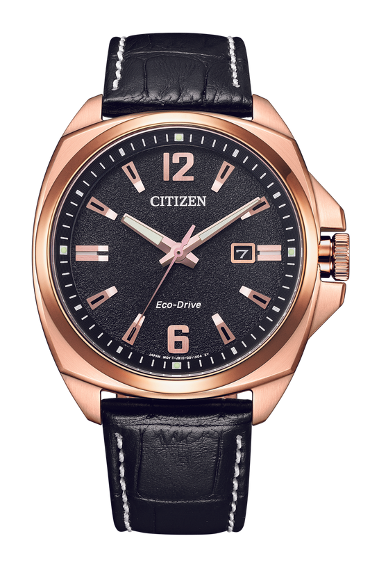 Eco-Drive Watch AW1723-02E