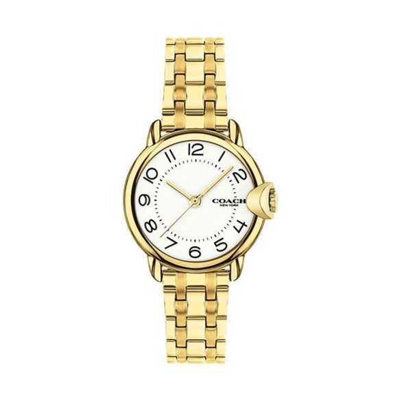 Arden White Women's Watch 14503602