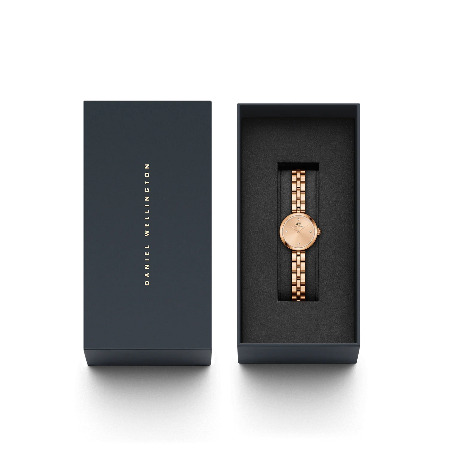 Elan Lumine Unitone Rose Gold 22mm Watch DW00100720