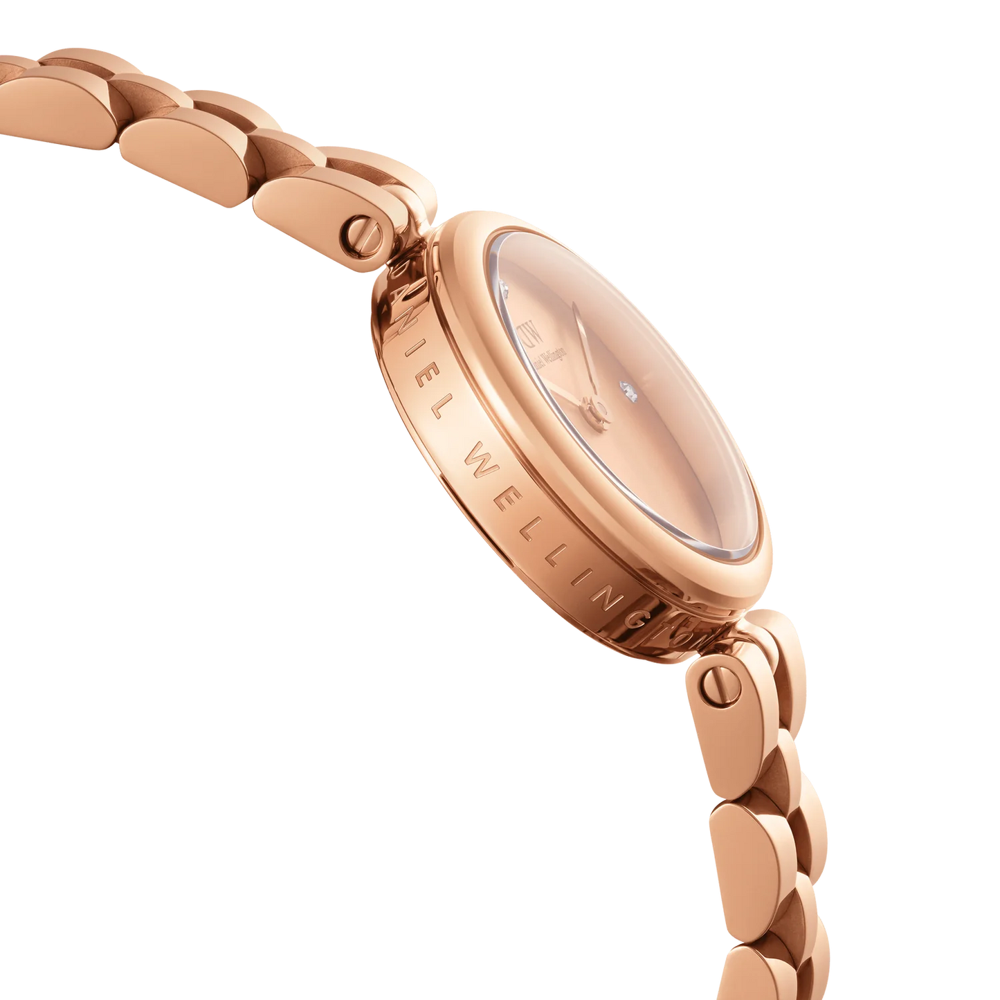 Elan Lumine Unitone Rose Gold 22mm Watch DW00100720