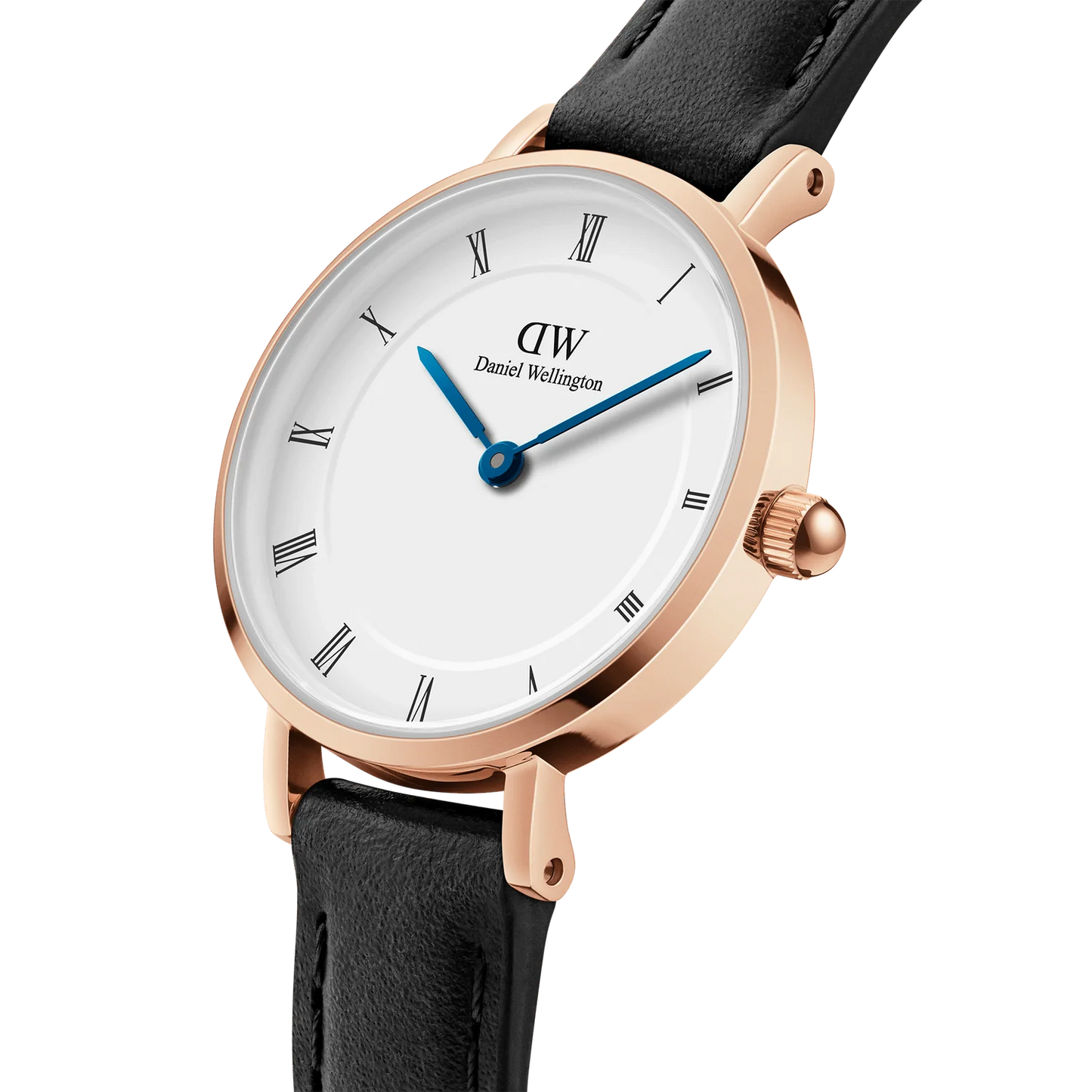 Petite Roman Numerals Sheffield Rose Gold Watch DW00100683