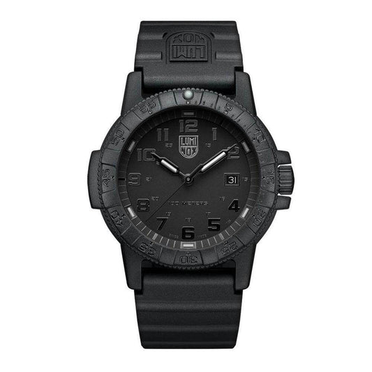 Leatherback Sea Turtle Giant 0321.BO